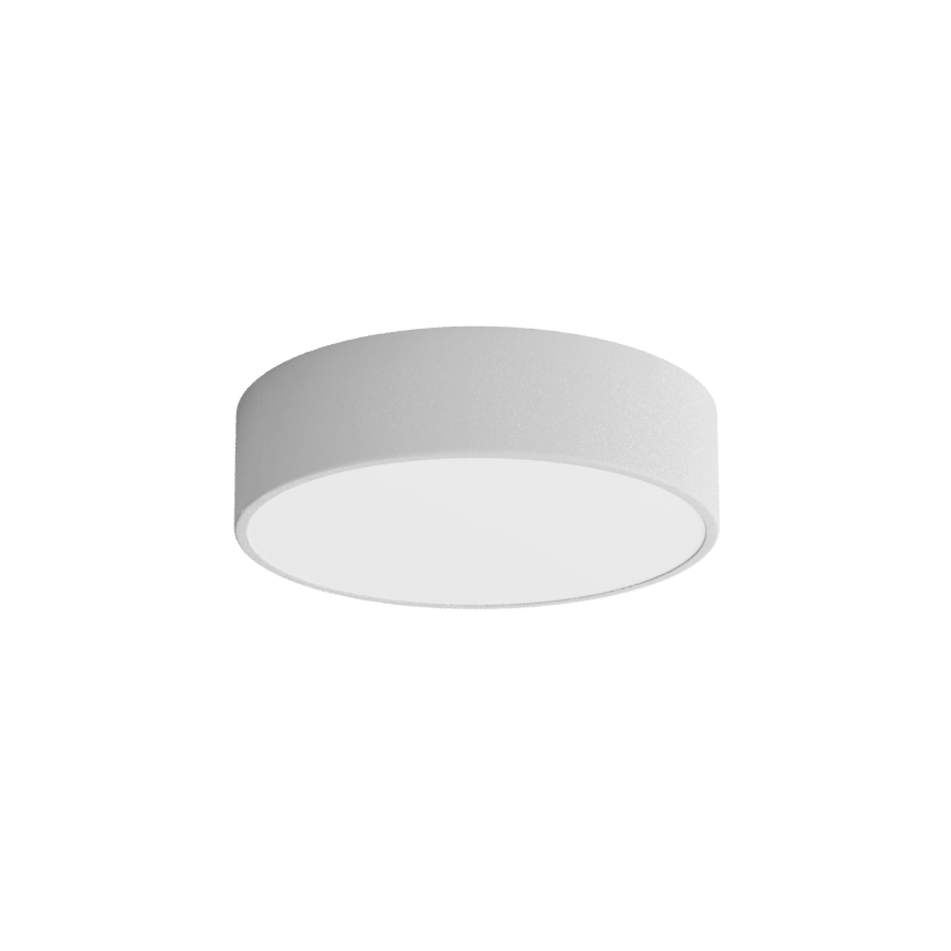 Plafonjera za kup. CLEO 2xE27/24W/230V pr. 30 cm siv IP54