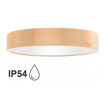 Plafonjera za kup. CLEO 4xE27/24W/230V IP54 pr. 47,5 cm bor
