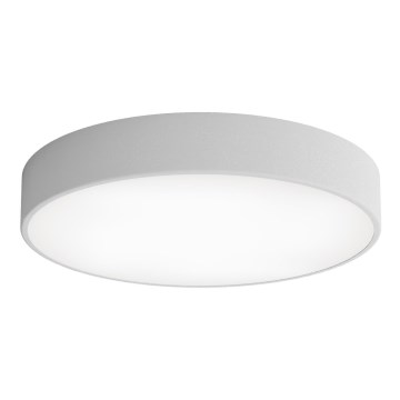Plafonjera za kup. CLEO 4xE27/24W/230V pr. 50 cm siv IP54