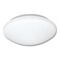 Plafonjera za kup. VICTOR 1xE27/60W/230V IP44