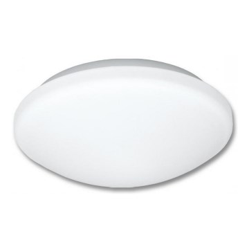 Plafonjera za kup. VICTOR 1xE27/60W/230V IP44