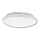 Plafonjera za kup. VICTOR 2xE27/60W/230V IP44