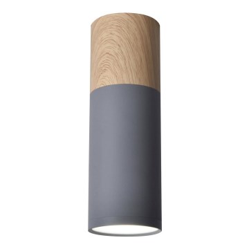 Plafonska svetiljka TUBA GU10/15W/230V