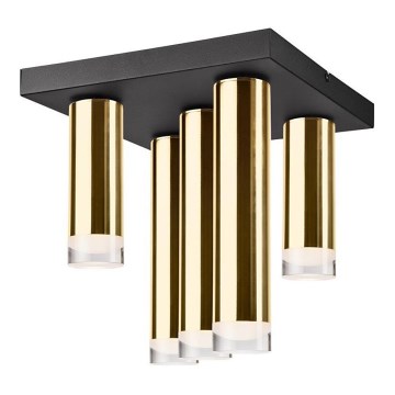 Plafonski luster DIEGO 5xE27/60W/230V