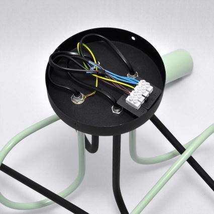 Plafonski luster OXFORD 4xE27/15W/230V crna/zelena