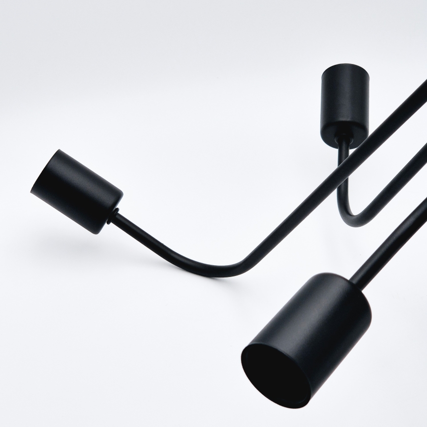 Plafonski luster TRINITY 5xE27/15W/230V crni