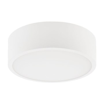 Plafonsko svetlo DANTE 1xE27/60W/230V, prečnik 26 cm, belo