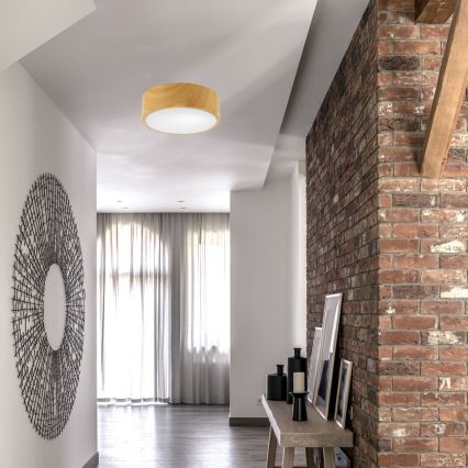 Plafonsko svetlo DANTE 1xE27/60W/230V, prečnik 26 cm