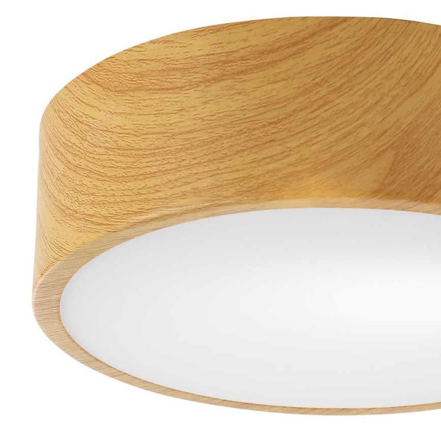 Plafonsko svetlo DANTE 1xE27/60W/230V, prečnik 26 cm