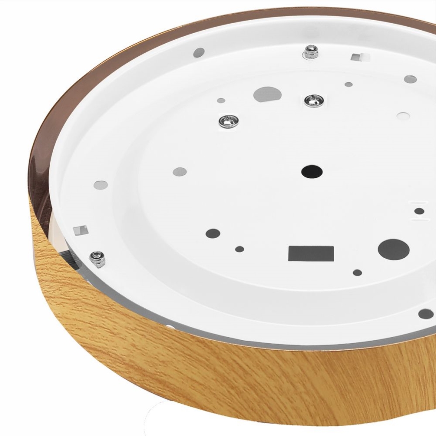 Plafonsko svetlo DANTE 1xE27/60W/230V, prečnik 26 cm