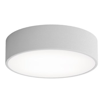 Plafonsko svetlo sa senzorom CLEO, 2xE27/24W/230V, prečnik 30 cm, sivo