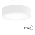 Plafonsko svetlo za kupatilo CLEO 2xE27/24W/230V prečnika 30 cm belo IP54