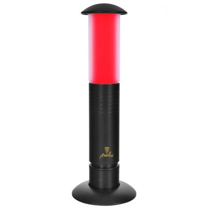Prenosna LED lampa 2xLED/1xD IPX4