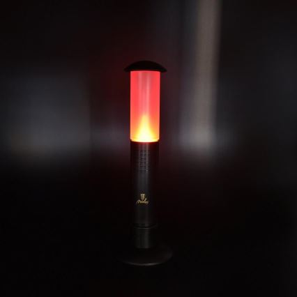 Prenosna LED lampa 2xLED/1xD IPX4