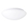 Prezent 1501 - Plafonsko svetlo ASPEN 2xE27/60W/230V IP44