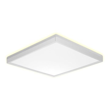 Prezent 27309 - LED plafonsko svetlo za kupatilo CORDIA SQ LED/24W/230V 3000/6000K IP54 bela