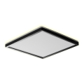 Prezent 27315 - LED plafonsko svetlo za kupatilo CORDIA SQ LED/24W/230V 3000/6000K IP54 crno