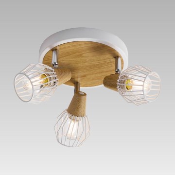 Prezent 27505 - Stropno spot svetlo TAMETA 3xE14/40W/230V