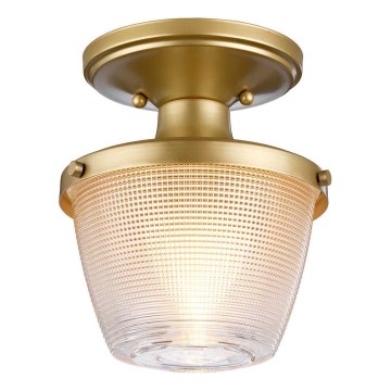 Quoizel - Plafonsko kupatilsko svetlo DUBLIN 1xE27/40W/230V IP44 zlatna