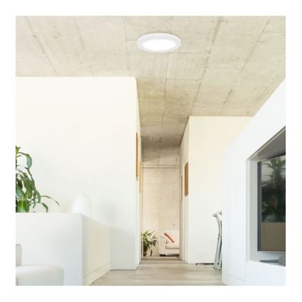 Rabalux - LED plafonsko svetlo sa senzorom LED/18W/230V 4000K 22,5 cm