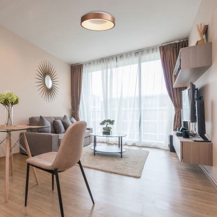 Rabalux - LED plafonsko svetlo CARMELA LED/30W/230V prečnik 38 cm