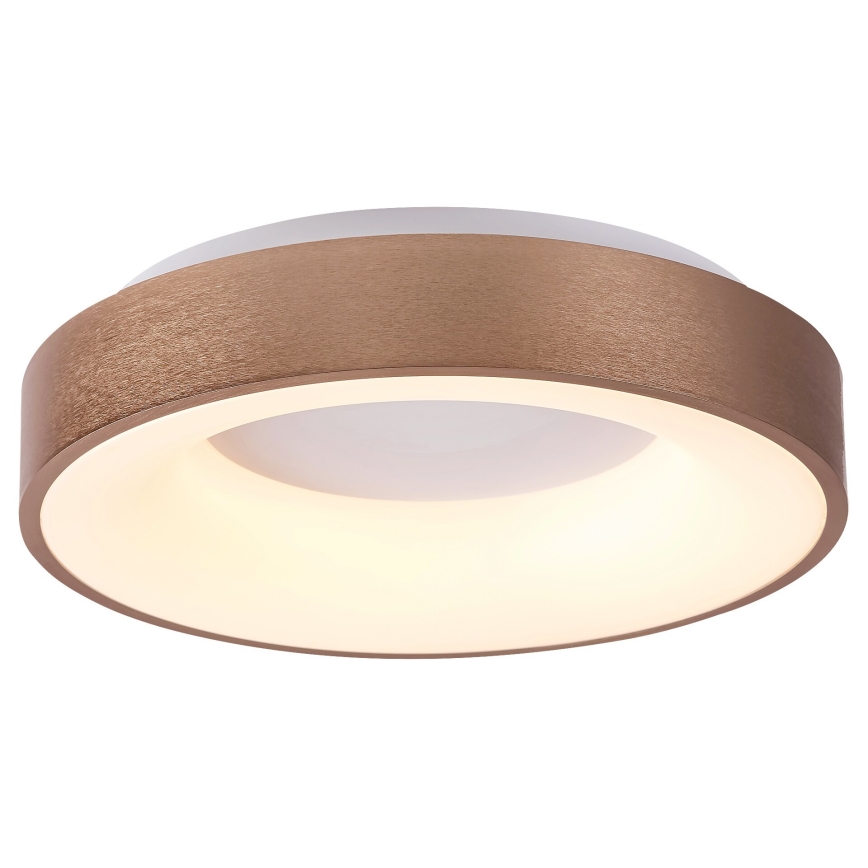 Rabalux - LED plafonsko svetlo CARMELA LED/30W/230V prečnik 38 cm