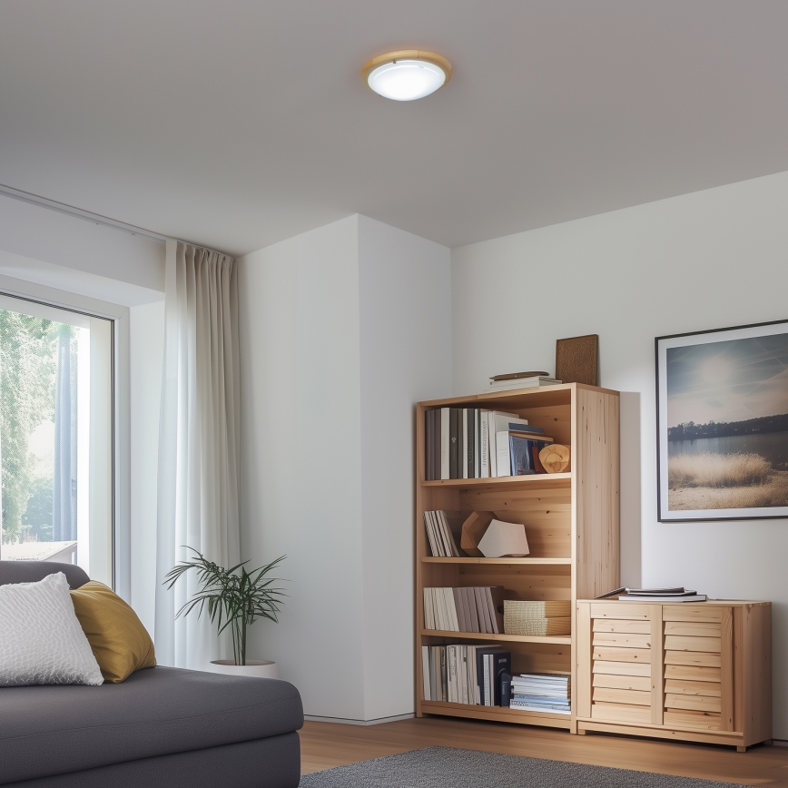 Rabalux - Stropno svetlo 1xE27/60W/230V prečnik 30 cm