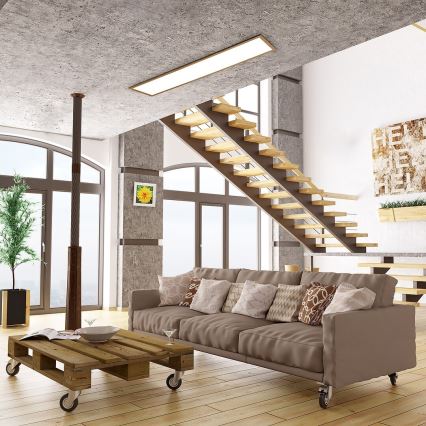 Rabalux - LED površinski panel LED/40W/230V 4000K