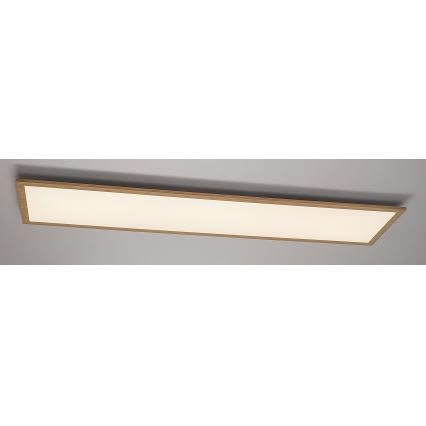 Rabalux - LED površinski panel LED/40W/230V 4000K