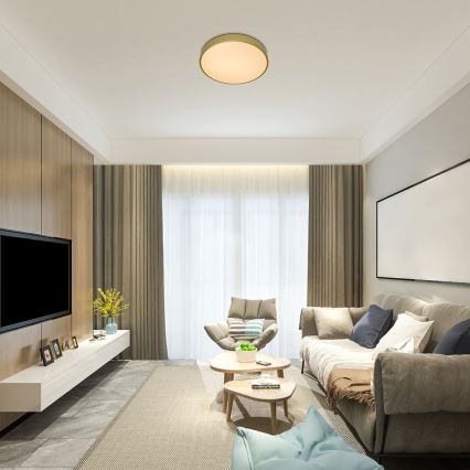 Rabalux - LED prigušiva stropna svetiljka LED/60W/230V 3000-6000K + daljinski upravljač
