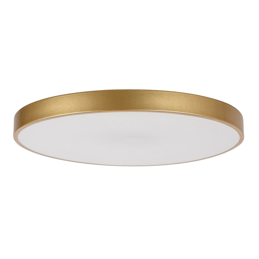 Rabalux - LED prigušiva stropna svetiljka LED/60W/230V 3000-6000K + daljinski upravljač