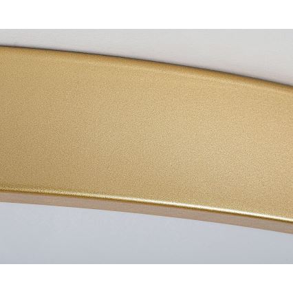 Rabalux - LED prigušiva stropna svetiljka LED/60W/230V 3000-6000K + daljinski upravljač