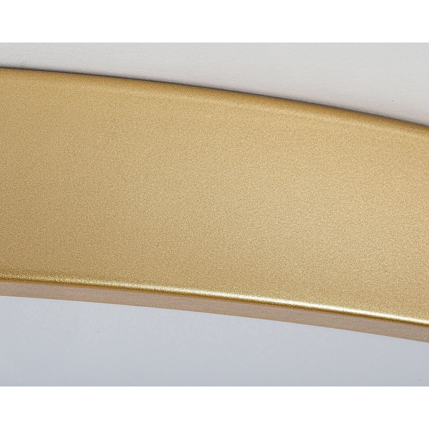 Rabalux - LED prigušiva stropna svetiljka LED/60W/230V 3000-6000K + daljinski upravljač