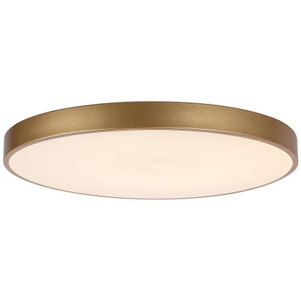 Rabalux - LED prigušiva stropna svetiljka LED/60W/230V 3000-6000K + daljinski upravljač