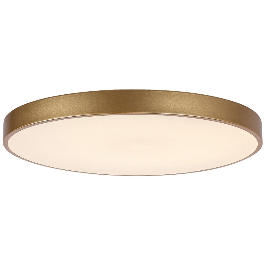 Rabalux - LED prigušiva stropna svetiljka LED/60W/230V 3000-6000K + daljinski upravljač