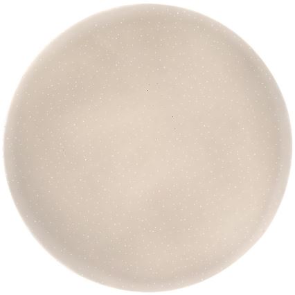 Rabalux - LED plafonsko svetlo LED/12W/230V 4000K prečnik 25,5 cm