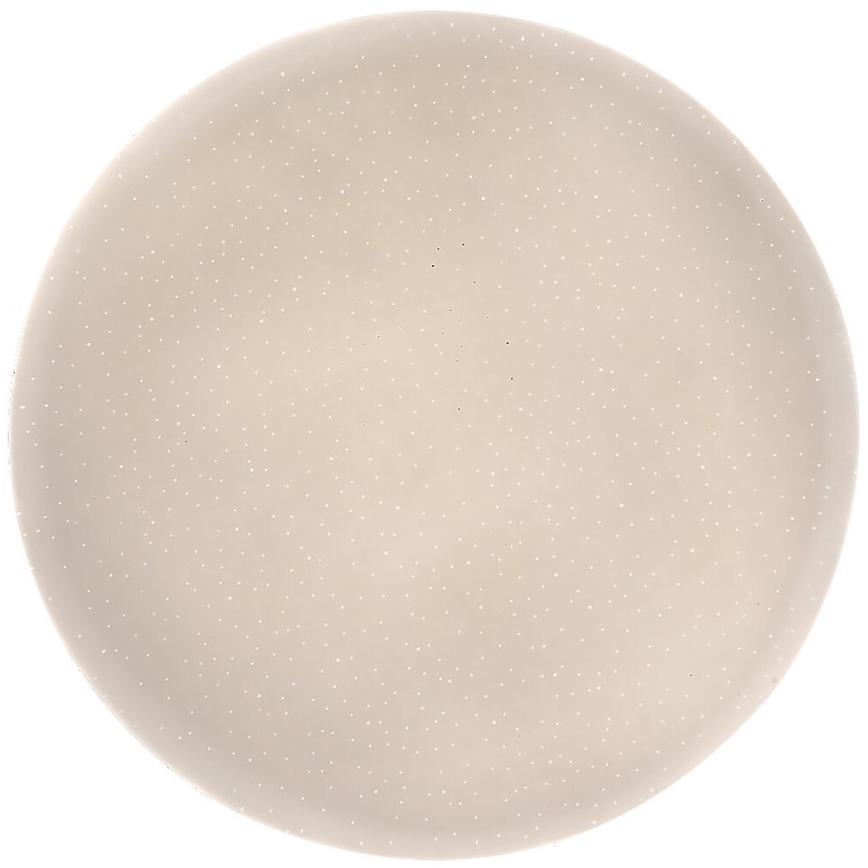 Rabalux - LED plafonsko svetlo LED/12W/230V 4000K prečnik 25,5 cm