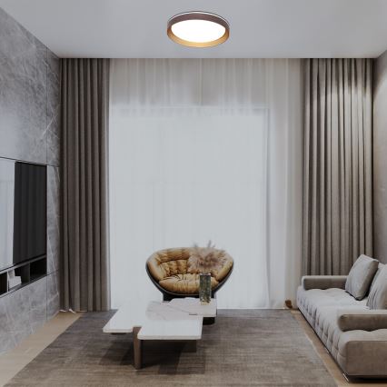 Rabalux - prigušiva LED plafonska svetiljka 48W/230V 3000-6500K prečnik 50 cm + daljinski upravljač