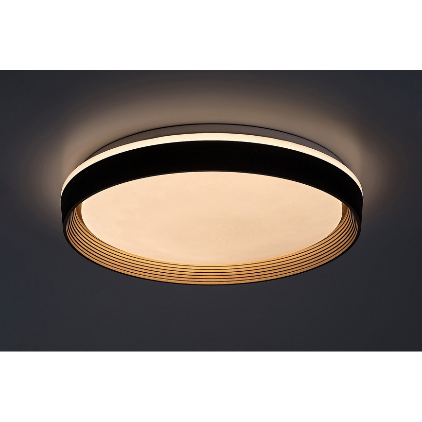 Rabalux - prigušiva LED plafonska svetiljka 48W/230V 3000-6500K prečnik 50 cm + daljinski upravljač