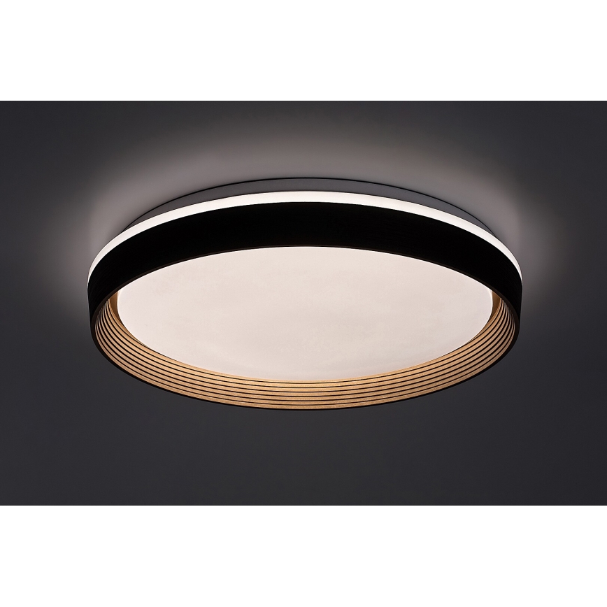 Rabalux - prigušiva LED plafonska svetiljka 48W/230V 3000-6500K prečnik 50 cm + daljinski upravljač