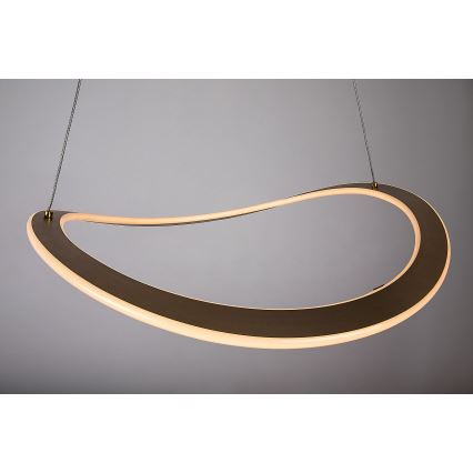 Rabalux - LED luster na sajli LED/40W/230V 3000K