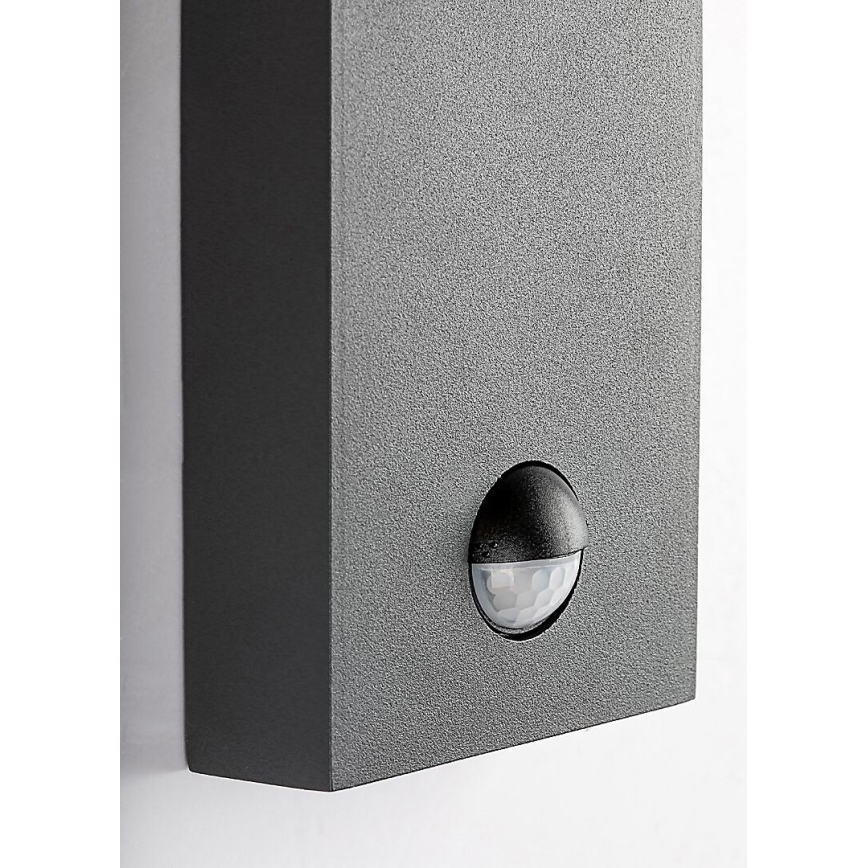 Rabalux - Spoljašnja zidna lampa sa senzorom pokreta 1xE27/40W/230V IP44