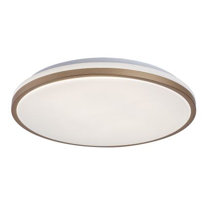 Rabalux - LED plafonsko svetlo za kupatilo LED/18W/230V IP44 prečnik 34 cm