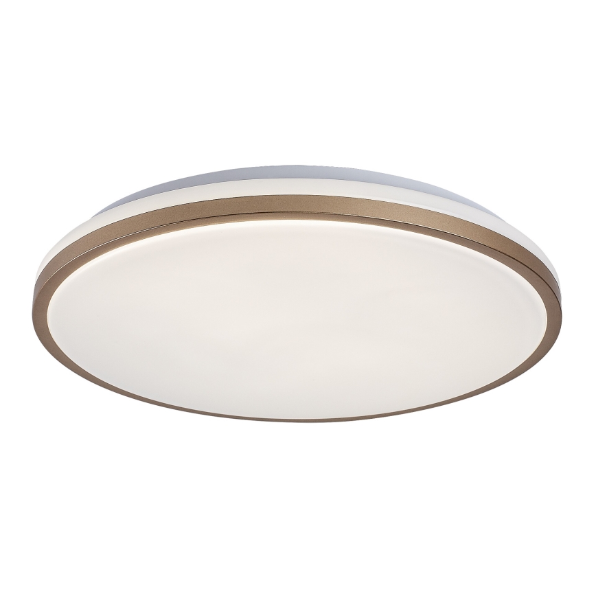 Rabalux - LED plafonsko svetlo za kupatilo LED/18W/230V IP44 prečnik 34 cm