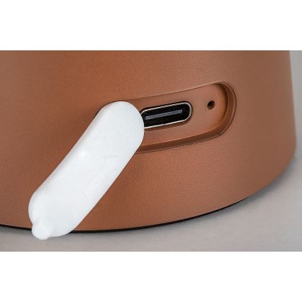 Rabalux - LED prigušiva dodirna punjiva spoljašnja lampa LED/1,5W/5V IP44 1200 mAh USB braon