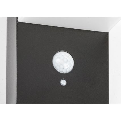 Rabalux - solarna LED svetiljka sa senzorom LED/6W/3,7V IP44 2200 mAh