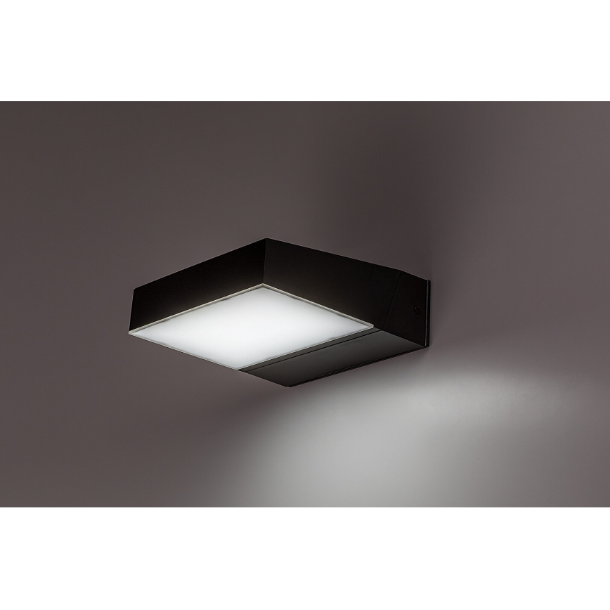 Rabalux - LED spoljašnje zidno svetlo LED/14W/230V 2700/4000/6500K IP54