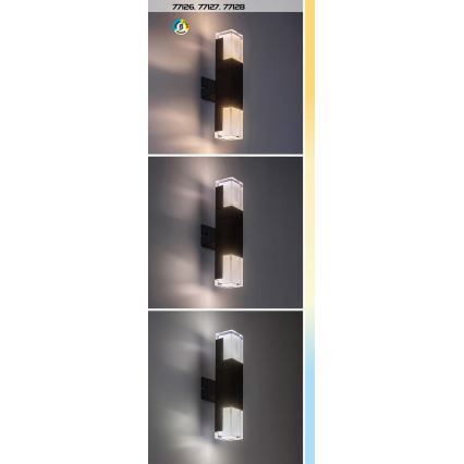 Rabalux - LED spoljno zidno svetlo LED/12W/230V 2700/4000/6000K IP54
