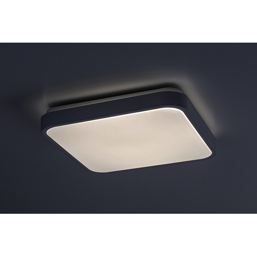 Rabalux - LED kupatilsko stropno svetlo sa senzorom LED/18W/230V 4000K IP44