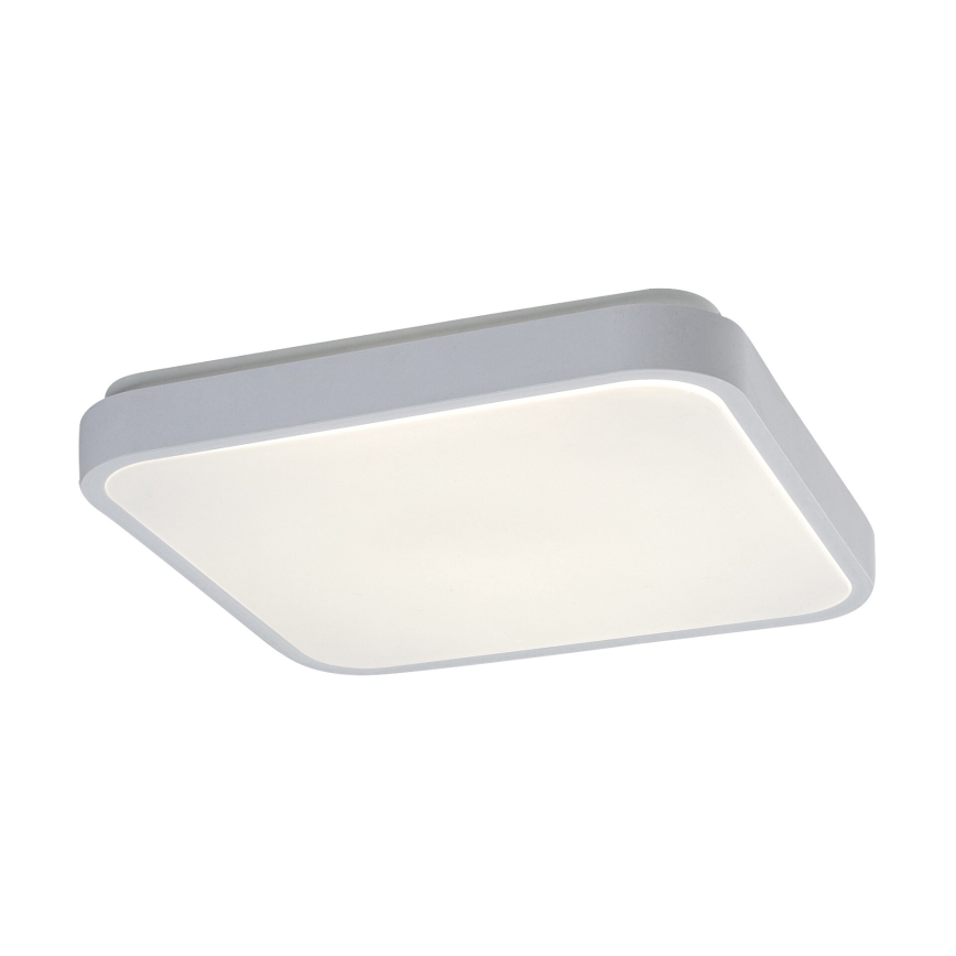 Rabalux - LED kupatilsko stropno svetlo sa senzorom LED/18W/230V 4000K IP44